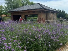 -齐齐哈尔龙沙动植物园