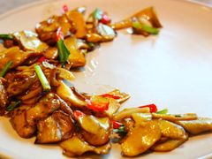 野芫荽炒牛肝菌-半山腰·云南菜(侨福芳草地店)