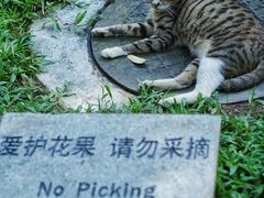 -广州珠江公园