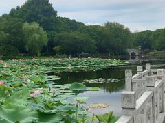 -范蠡湖公园