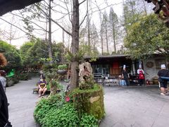 -青城甲(青城山店)