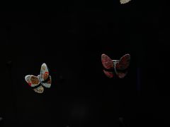 -上海当代艺术博物馆