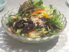 养生大拌菜-正阳春烤鸭店(杨楼店)