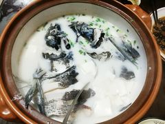 -全乐鱼馆·淳牌有机鱼直营店