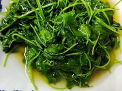 -协和菜馆(凤凰街店)