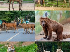-济南野生动物世界