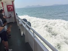 -枸杞岛