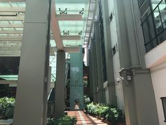 -香港大学