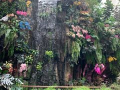 -正佳雨林生态植物园
