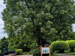 -福建鲤鱼洲酒店