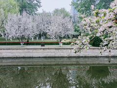 -海棠花溪(元大都城垣遗址公园)