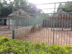 -广东茂名森林公园