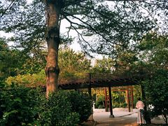 -深圳国际园林花卉博览园