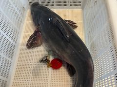 -野山舂·贵州现舂酸汤牛肉(民生路店)