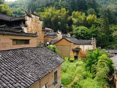-杨家堂村