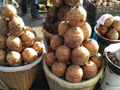 -溪口-滕头旅游景区