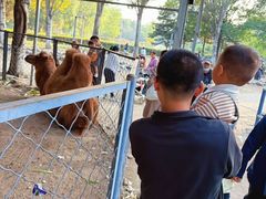-长白岛森林公园