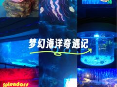 -海合安成都极地海洋公园