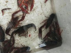 -晓伟海鲜家常菜