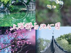 -上海醉白池公园