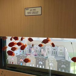 -杭州贝瑞斯美华妇儿医院·早孕·产检·儿科