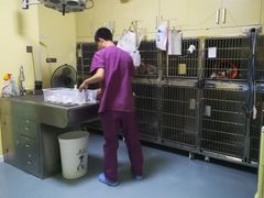 -瑞鹏宠物医院·爱宠堂·骨外专科(西荷分院)