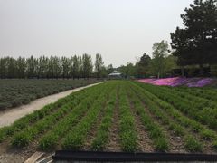 -富田农场