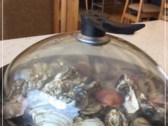 -港畔赶海蒸汽海鲜烧烤自助(仙螺岛店)