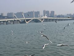 -蠡湖大桥公园