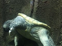 -太平洋海底世界