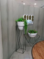 点击看大图 -八佰伴8008星级形象店