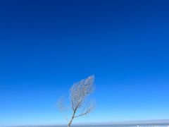 -青海湖二郎剑景区