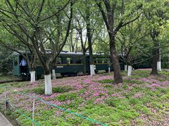 -八卦田遗址公园