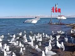 -青海湖国家重点风景名胜区
