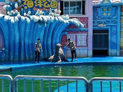 -华夏文旅海洋公园