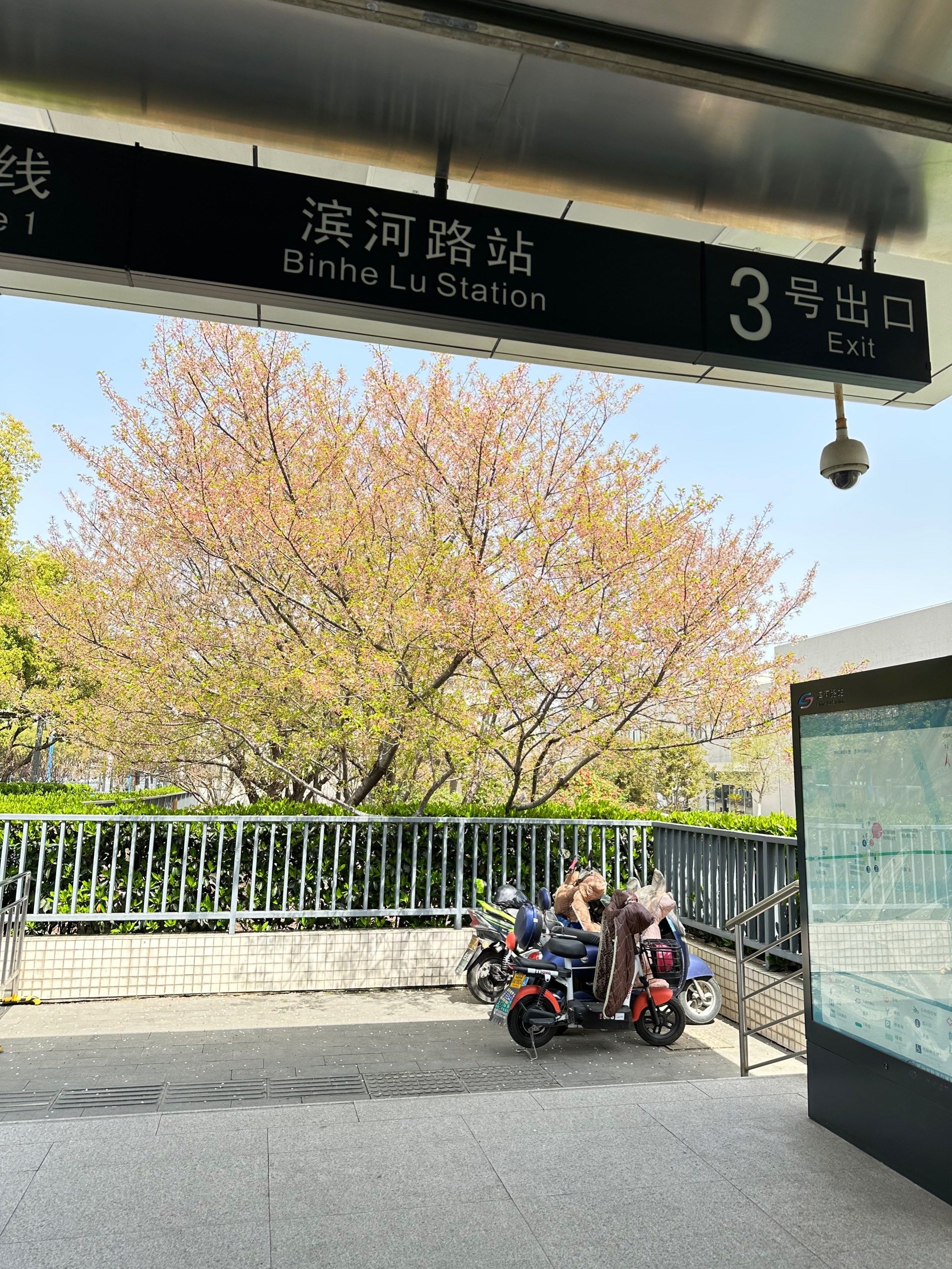 苏州樱花最美地铁站出口01