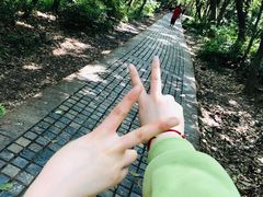 -紫金山山顶公园