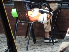-微饮cafe