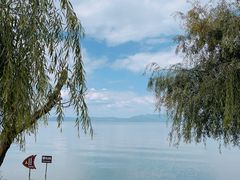 -捞渔河湿地公园