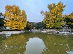 -香山公园