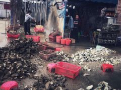 -蚝专家(北滘店)