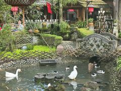 -青城甲(青城山店)