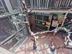 -正佳雨林生态植物园