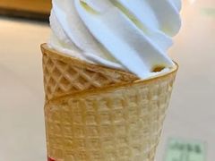 -蜜雪冰城(武进区吾悦店)