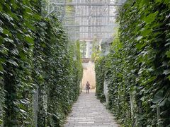 -青果巷历史文化街区