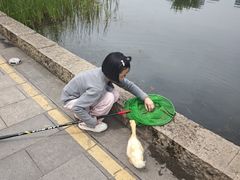 -梅溪湖城市岛