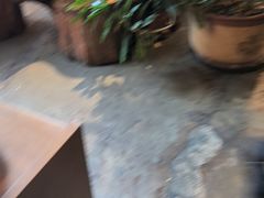-慢丽江·云南野生菌土鸡锅(付家庄店)