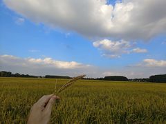-嘉北郊野公园
