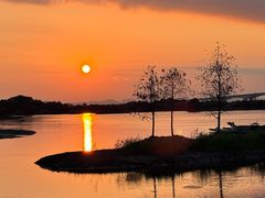 -芒洲湿地公园