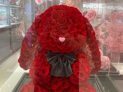 -ROSEONLY诺誓(广州K11店)